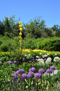 花园风景 