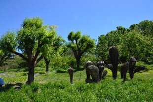花园风景  