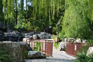 公园风景  