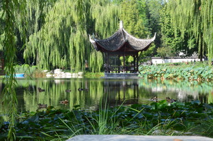 公园风景  