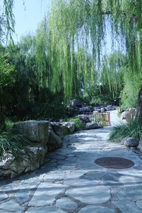 公园风景 