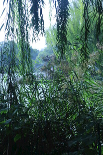 公园风景 