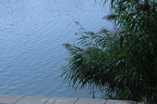 公园风景  