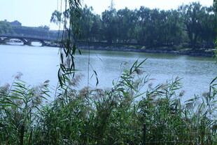 公园风景 