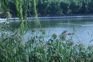 公园风景 