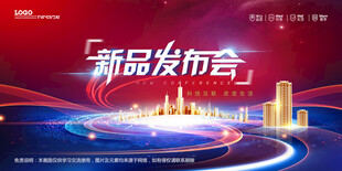 会议背景