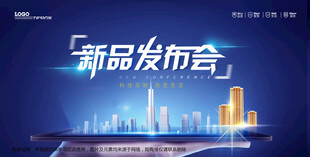 会议背景