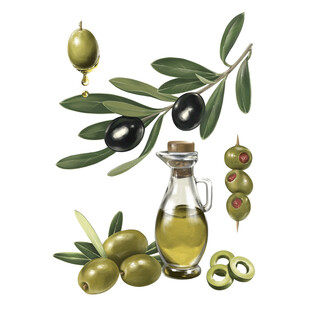 橄榄与橄榄油