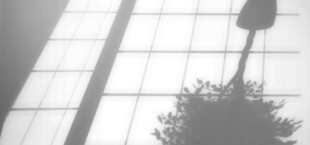 绿植光影