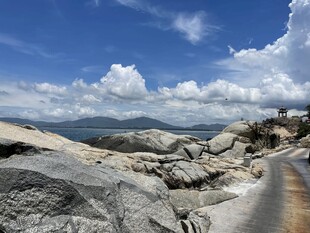 山间石径旁的壮美风光