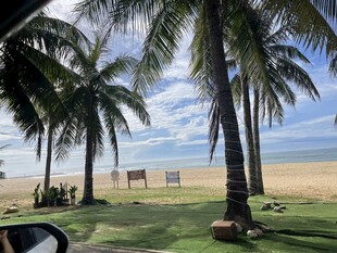 海滨椰林美景