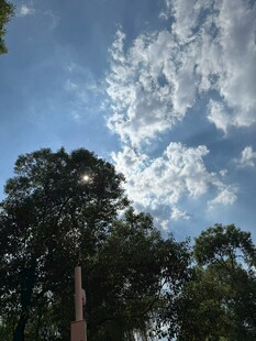 林间蓝天与白云