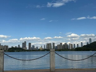 河畔城市风光
