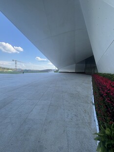 现代建筑下的开阔道路与花卉