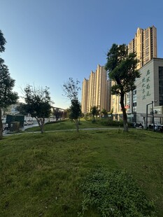 城市绿地旁的林立高楼