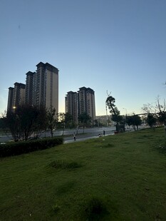 城市草地旁的高楼景观