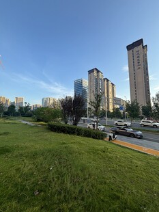 城市草坪旁的高楼景观