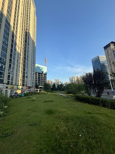 城市中绿地与高楼景观