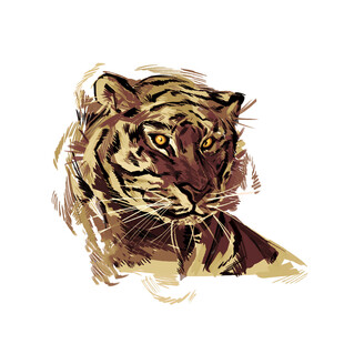 水彩风格的老虎头部特写