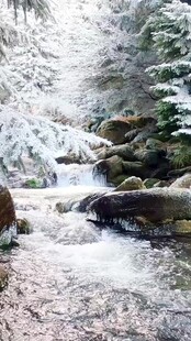 冬日雪覆溪流山林美景