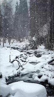 冬日雪景中的静谧溪流