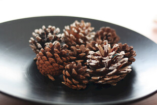 黑色盘上的松果