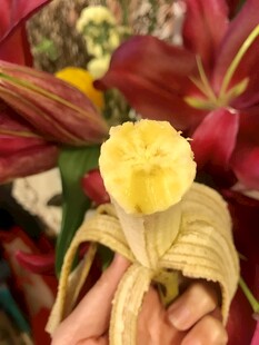香蕉