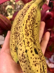 香蕉