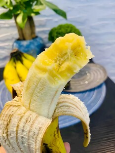 香蕉