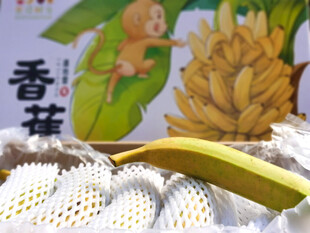 香蕉