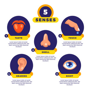 人体五种感官示意图