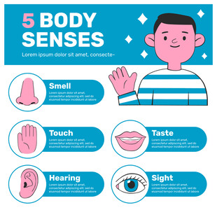 人体五种感官介绍图