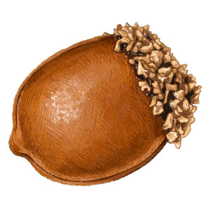 金色装饰的棕色精美托盘