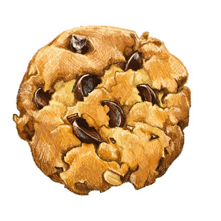 美味巧克力豆曲奇饼干