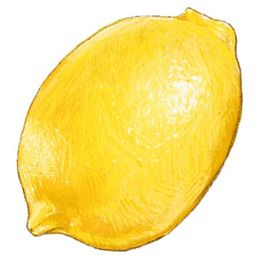 手绘黄色柠檬果实