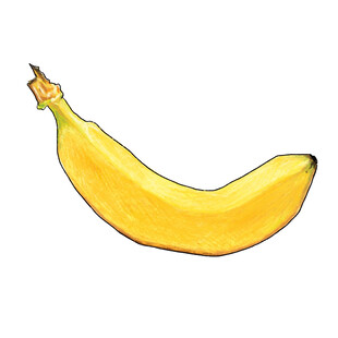 手绘黄色香蕉插画