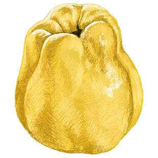 金色佛手瓜水彩画