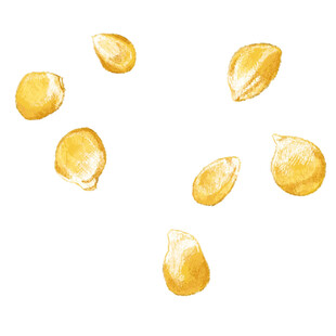 散落的金色玉米粒