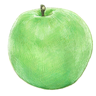 青苹果手绘插画