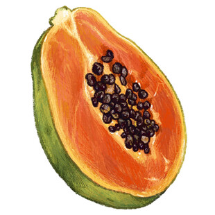 切开的木瓜特写