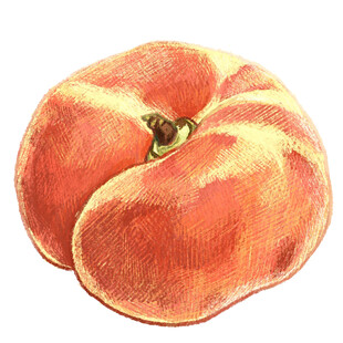 手绘饱满桃子