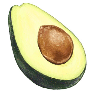半颗牛油果水彩插画