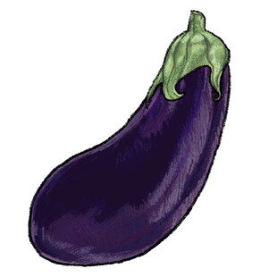 紫色长茄子插画