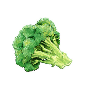 一颗新鲜的西兰花