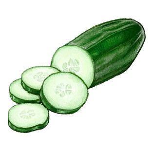 新鲜黄瓜切片图