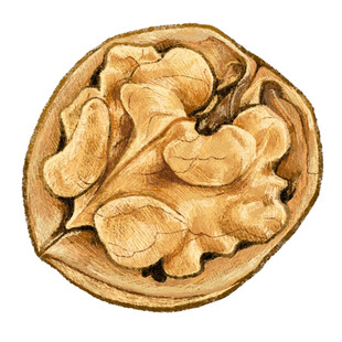 剥开的核桃仁特写