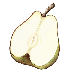 半颗切开的新鲜梨子