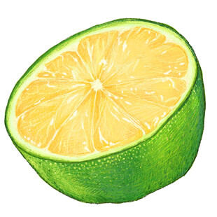 半颗鲜绿柠檬插画