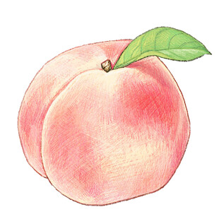 手绘粉嫩水蜜桃
