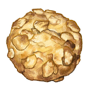 杏仁曲奇饼干水彩插画